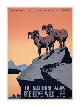 The National Parks Preserve Wild Life, ca. 1936-1939-J^ Hirt-Framed Art Print