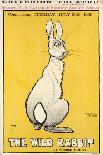 The Wild Rabbit Poster, 1899-J. Hissin-Framed Stretched Canvas