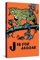 J is for Jaguar-Charles Buckles Falls-Stretched Canvas