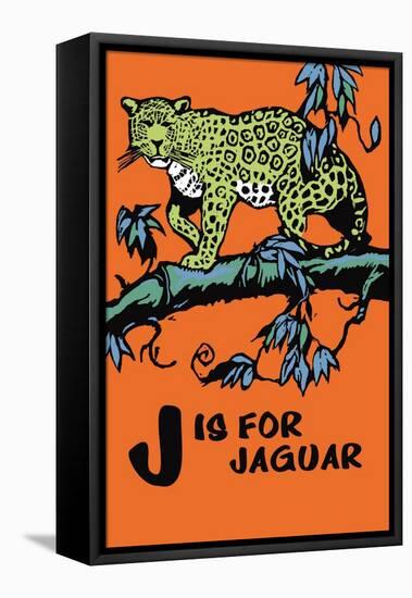 J is for Jaguar-Charles Buckles Falls-Framed Stretched Canvas