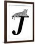 J is for Jaguar-Stacy Hsu-Framed Art Print