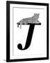 J is for Jaguar-Stacy Hsu-Framed Art Print