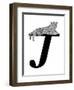 J is for Jaguar-Stacy Hsu-Framed Art Print