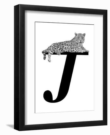 J is for Jaguar-Stacy Hsu-Framed Art Print