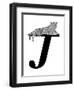 J is for Jaguar-Stacy Hsu-Framed Art Print