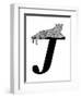 J is for Jaguar-Stacy Hsu-Framed Art Print
