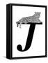 J is for Jaguar-Stacy Hsu-Framed Stretched Canvas