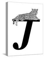 J is for Jaguar-Stacy Hsu-Stretched Canvas