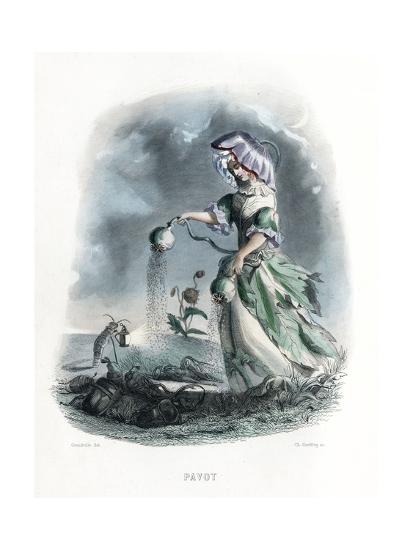 Giclee Print, , large