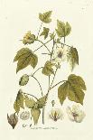 Elegant Botanical I-J.j. Plenck-Art Print