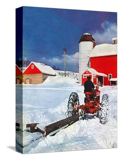 Stretched Canvas Print, , large