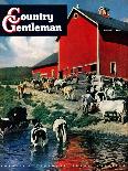 "When the Cows Come Home," Country Gentleman Cover, August 1, 1948-J. Julius Fanta-Stretched Canvas