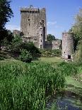 Blarney Castle, County Cork, Munster, Eire (Republic of Ireland)-J Lightfoot-Photographic Print