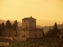 Farms and Vines, Tuscany, Italy-J Lightfoot-Photographic Print