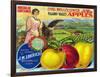 J.M.L. Pajaro Valley Brand Apple Label, Watsonville, California-Lantern Press-Framed Art Print