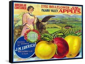 J.M.L. Pajaro Valley Brand Apple Label, Watsonville, California-Lantern Press-Framed Stretched Canvas