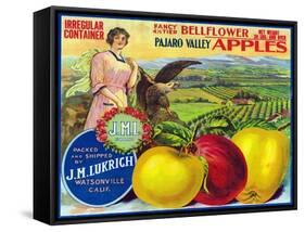 J.M.L. Pajaro Valley Brand Apple Label, Watsonville, California-Lantern Press-Framed Stretched Canvas