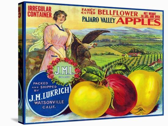 J.M.L. Pajaro Valley Brand Apple Label, Watsonville, California-Lantern Press-Stretched Canvas