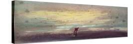 Stretched Canvas