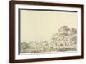 Brown Frame