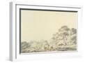 White Frame