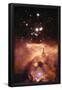 Essential Black
