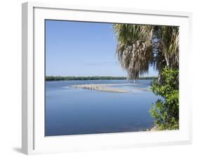 J.N. "Ding" Darling Wildlife Reserve, Sanibel Island, Gulf Coast, Florida-Robert Harding-Framed Photographic Print