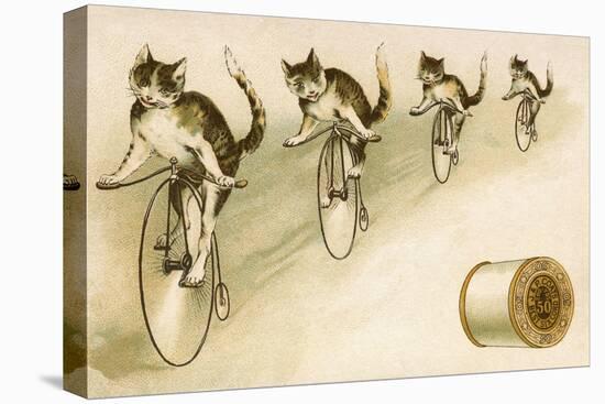 J&P Coats Trade Card with Cats Bicycling-null-Stretched Canvas