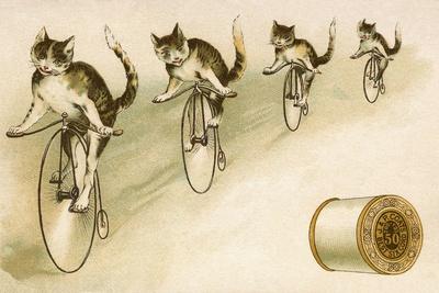 https://imgc.allpostersimages.com/img/posters/j-p-coats-trade-card-with-cats-bicycling_u-L-Q1I707G0.jpg?artPerspective=n