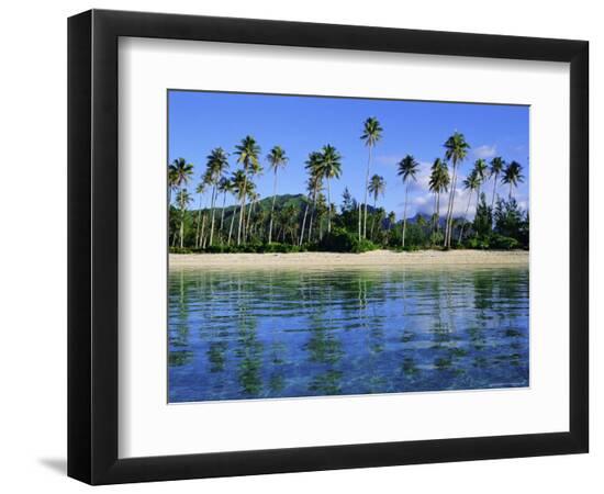 Premium Photographic Print, , large
