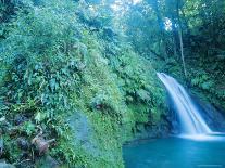 Waterfall, Vallee De Mai National Park, Praslin, Seychelles, Indian Ocean-J P De Manne-Photographic Print