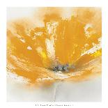 Wild Orange Sherbet I-J^P^ Prior-Art Print