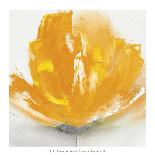 Wild Orange Sherbet II-J^P^ Prior-Art Print