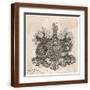 Brown Frame
