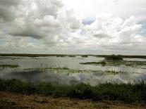 Everglades Restoration-J. Pat Carter-Framed Photographic Print