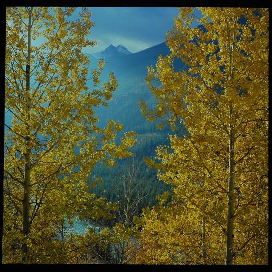 Photographic Print, , large