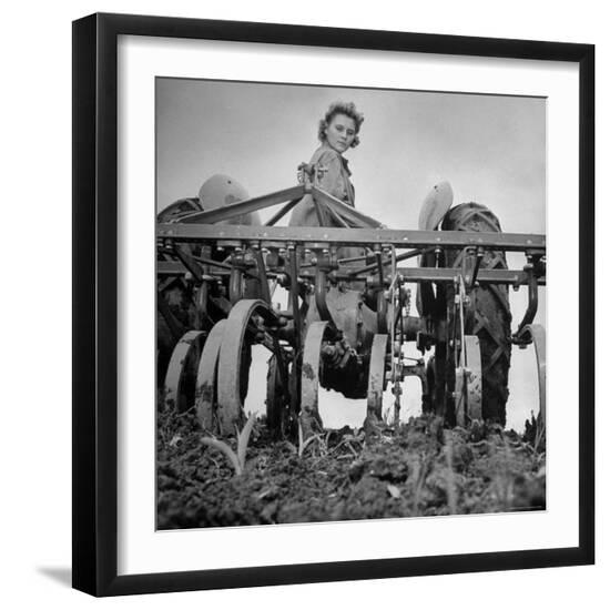 Premium Photographic Print, , large