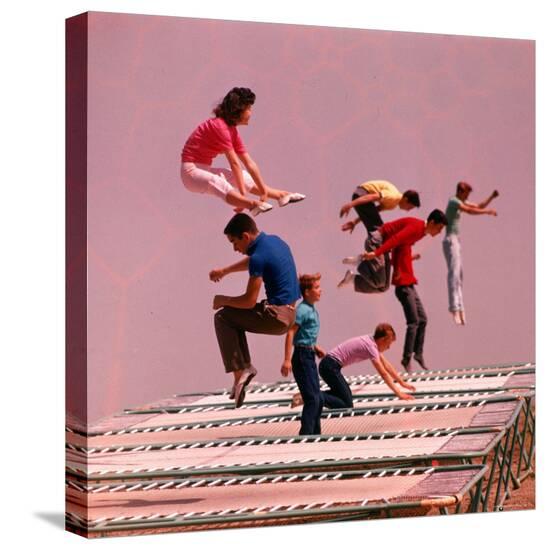 Stretched Canvas Print, , large