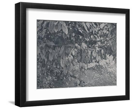 Premium Photographic Print, , large