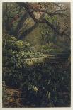 Xanthosoma and Other Exotic Flora and Birds in the Brazilian Jungle-J. Selleny-Stretched Canvas