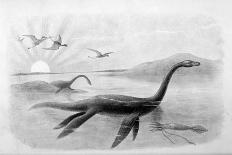 Plesiosaurus Dolichodeirus-J. Smit-Framed Stretched Canvas