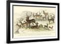 Gramercy Black