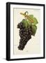 Black Frame