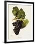 Gramercy Black