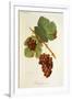 Gramercy White