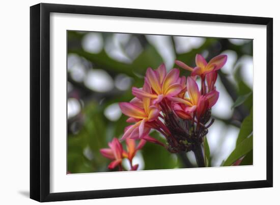 J114-Robert Kaler-Framed Photographic Print