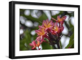 J114-Robert Kaler-Framed Photographic Print