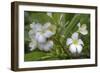 J115-Robert Kaler-Framed Photographic Print