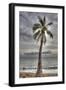 J141-Robert Kaler-Framed Photographic Print