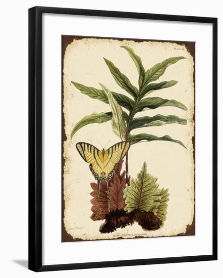 J2016-Ferns On Vintage Tin-E-Jean Plout-Framed Giclee Print